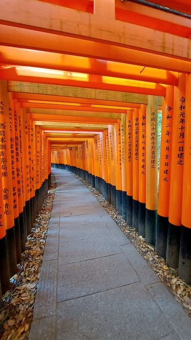 Alt Fushimi Inari