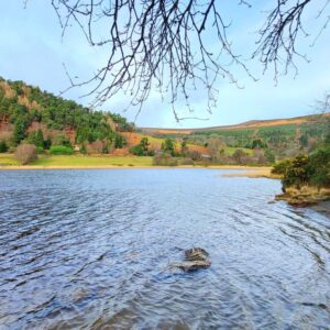 Alt Glendalough tour Irlanda
