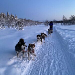 Alt Husky Safari Rovaniemi