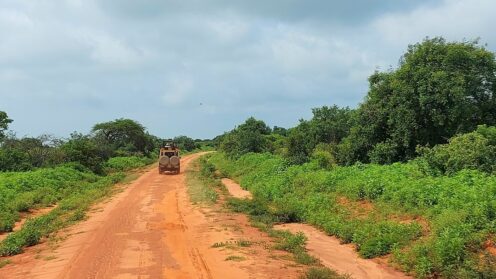 Safari in Kenya: itinerario da 8 giorni