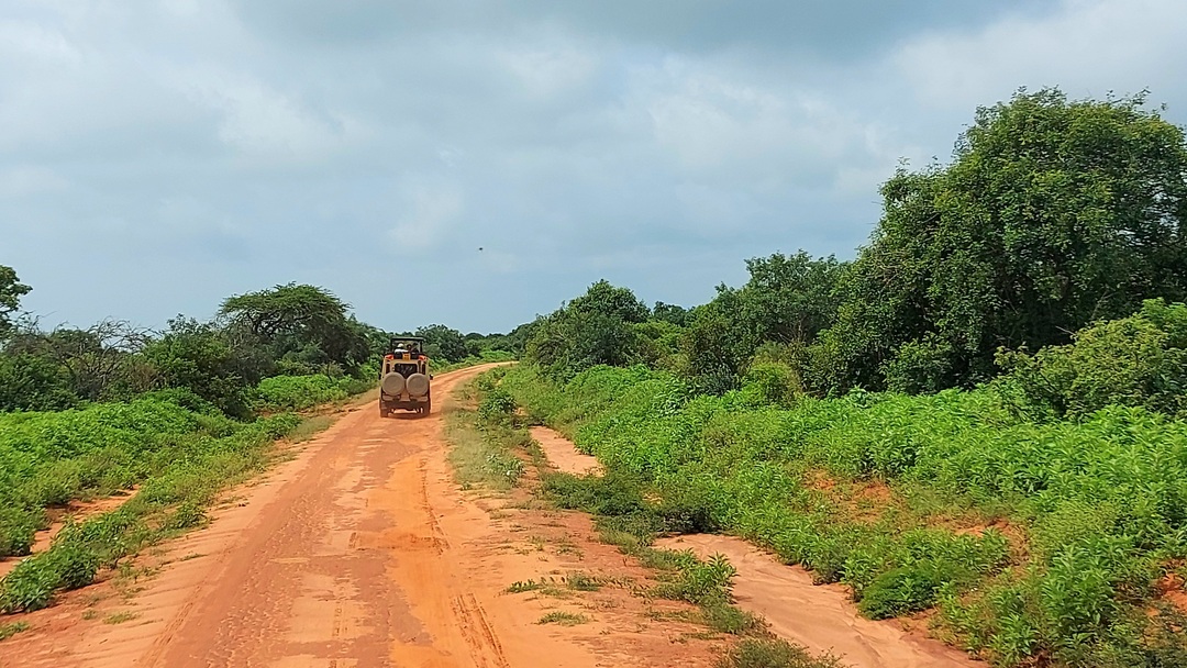 Safari in Kenya: itinerario da 8 giorni