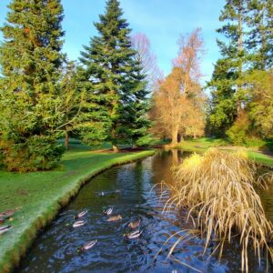 Alt Botanic Garden Dublino