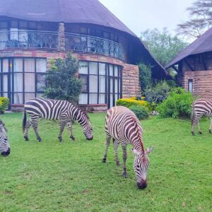 Safari kenya