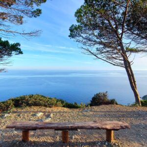 Capo di Stella Isola d'Elba