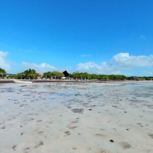 Holbox Quintana Roo