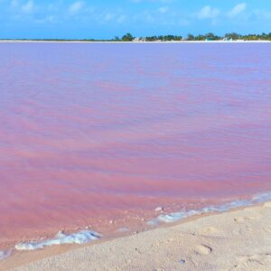 Las Coloradas Yucatan